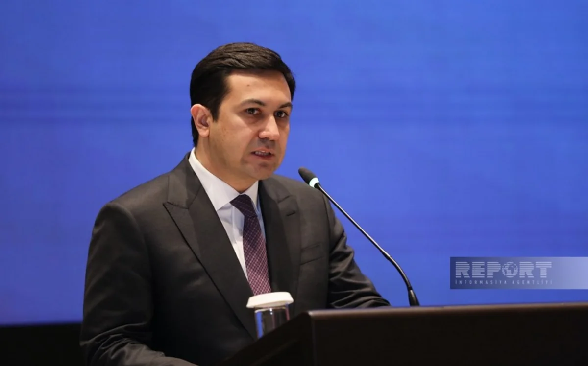 Orxan Nəzərli: Kriptovalyutaların vergi siyasətinə inteqrasiyası yeni mexanizmlərinin formalaşdırılmasını tələb edir