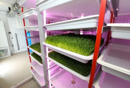 Füzulidə İnnovasiya Festivalı keçirilib