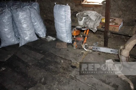 Cəlilabadda qanunsuz kömür quyuları aşkar edilib