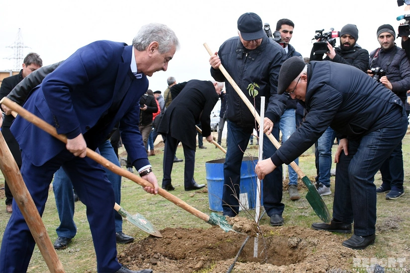 Deputy Prime Minister: Trees planted today to improve ecological condition of Azerbaijan