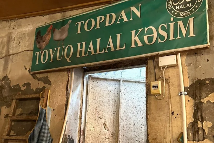 Lənkəranda antisanitar şəraitdə işləyən toyuq sexi aşkarlanıb