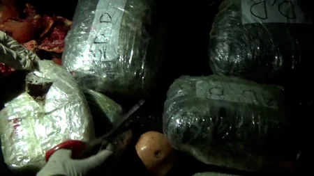 Polis əməliyyatlar keçirib, 22 nəfər saxlanılıb, 40 kq narkotik götürülüb