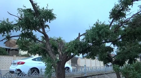 Ливень в Нахчыване вызвал ряд последствий