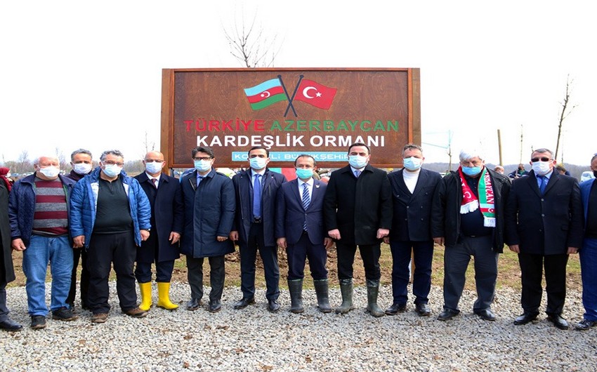 Kocaelidə Azərbaycan-Türkiyə qardaşlıq meşəsi salınıb
