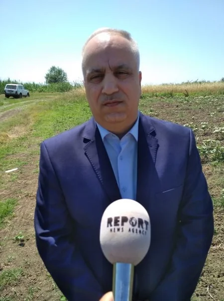 Dövlət Fitosanitar Nəzarəti Xidmətinin rəhbəri Tərtərin zəhərlənmə baş vermiş pambıq sahəsində olub