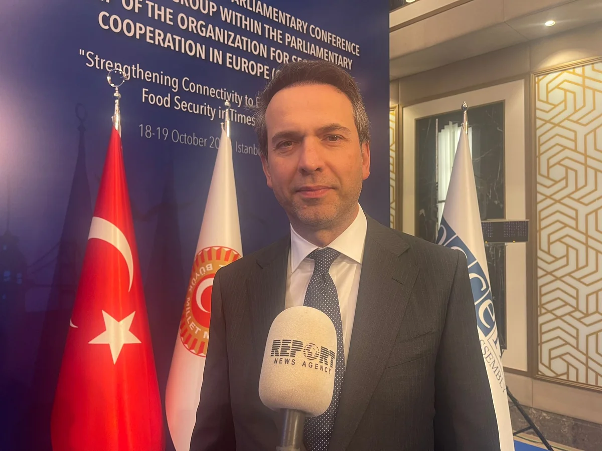 Alparslan Bayraktar: TANAP and TAP projects are examples for world