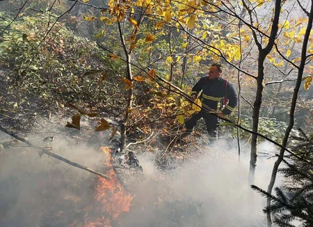 Georgia fighting to contain forest fire lasting for already two days