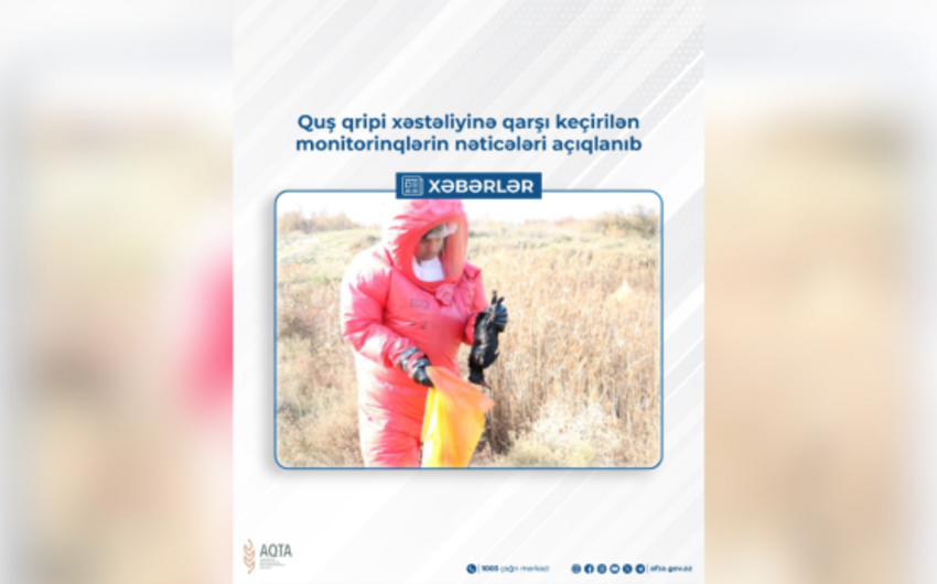 АПБА не выявил возбудителей птичьего гриппа  в Азербайджане