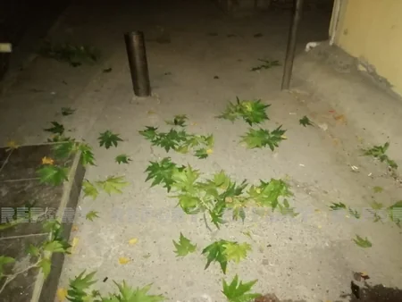 Bakıda oğurluğa cəhd edən kişi özünü 5-ci mərtəbədən yerə atıb