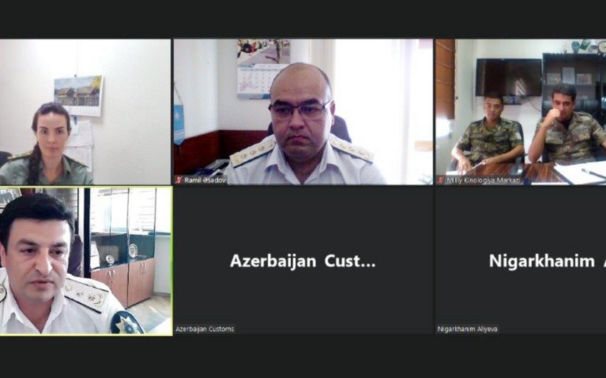 Azərbaycan və Özbəkistanın kinoloji mərkəzləri əməkdaşlığı müzakirə edib