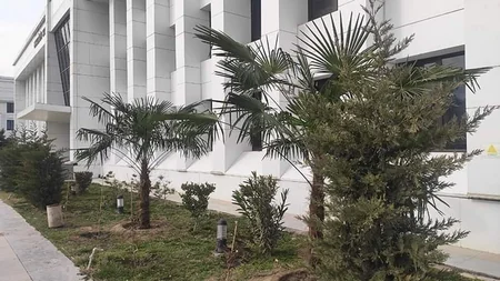 Heydər Əliyevin 100 illik yubileyi ilə bağlı Sabirabadda ağacəkmə aksiyası keçirilir