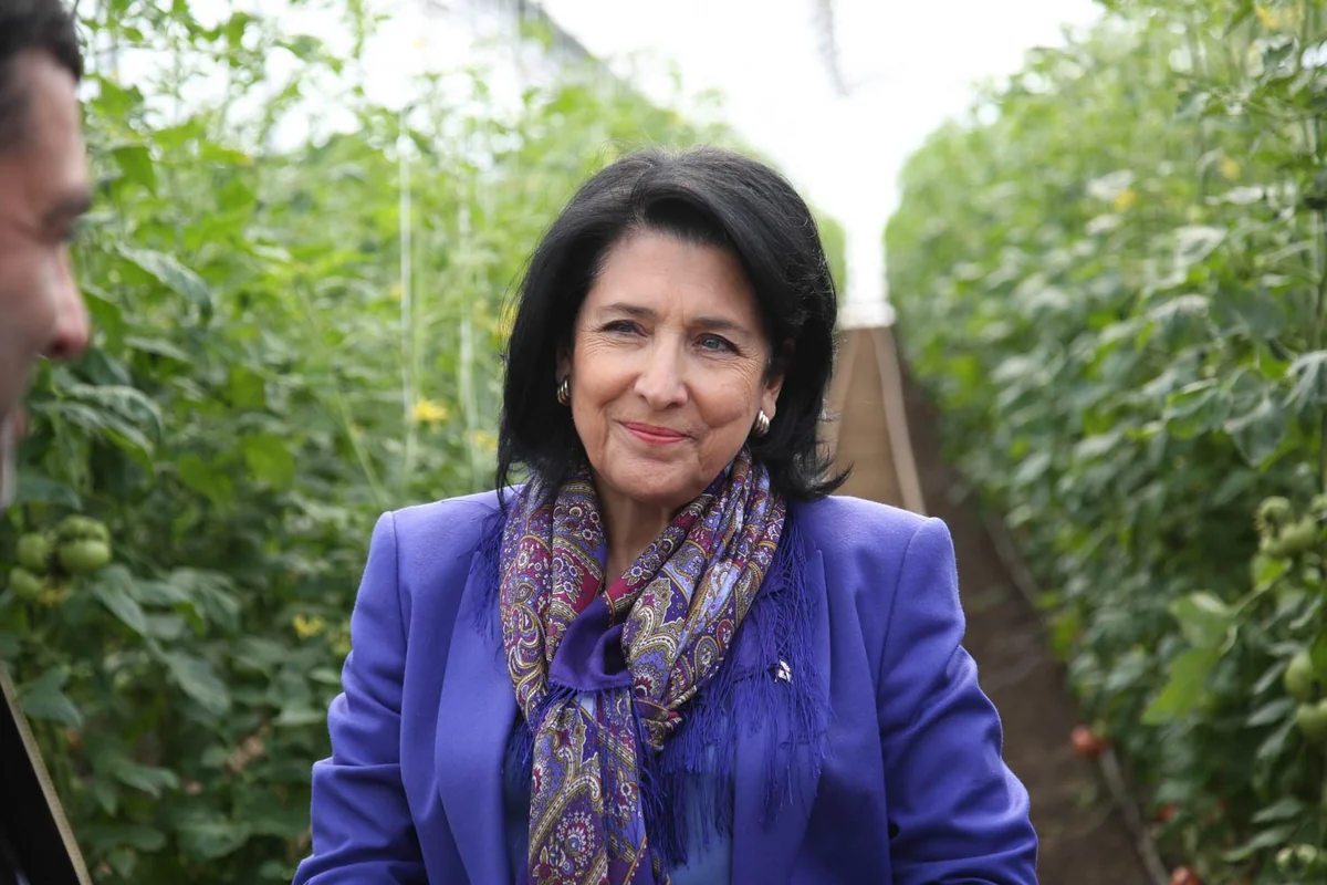 Gürcüstan Prezidenti azərbaycanlıların yaşadığı kəndlərə baş çəkib