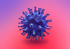 Belgian city fails to unveil coronavirus monument due to new coronavirus wave