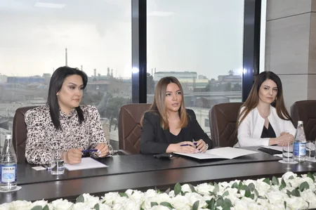 “Gender əsaslı zorakılıqlara qarşı mübarizədə QHT-lərin rolu” mövzusunda görüş keçirilib