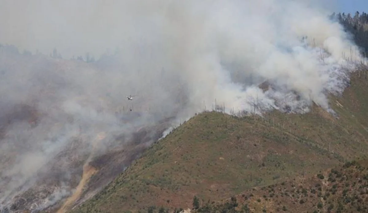 Gürcüstanın Borjomi bölgəsində yanğın lokallaşdırılıb