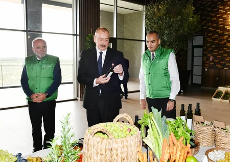 Prezident Zirədə zeytun emalı zavodunun açılışında iştirak edib - YENİLƏNİB