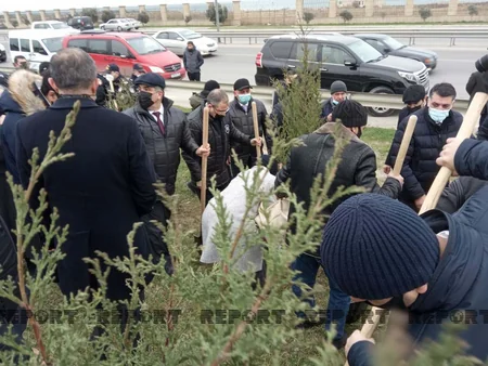 Vətən müharibəsindəki qələbənin 100 günü münasibətilə ağac əkildi