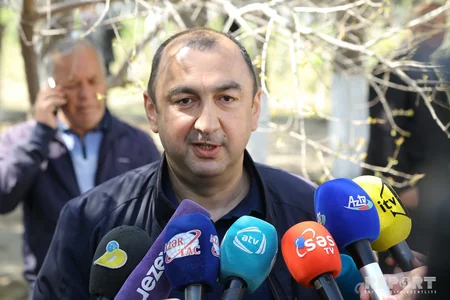 Sumqayıtda jurnalistlər ağac əkib
