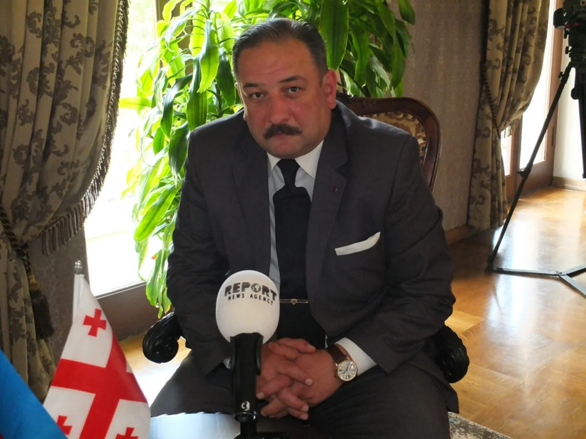 Gürcü alim: ​Ermənistan regionda ən böyük təhlükə mənbəyidir
