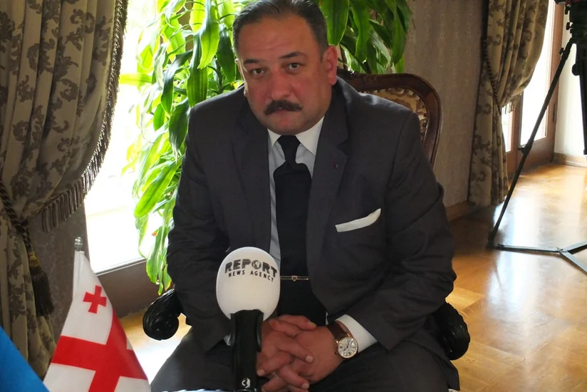 Gürcü alim: ​Ermənistan regionda ən böyük təhlükə mənbəyidir