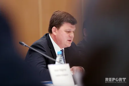 Department chief: Azerbaijan actively participates in Council of Europe projects on reforming legal system
