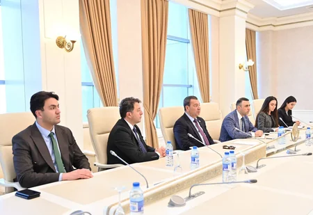 Avropa Parlamentinin komitə üzvü qurumun Azərbaycana qarşı qərəzli mövqeyini pisləyib