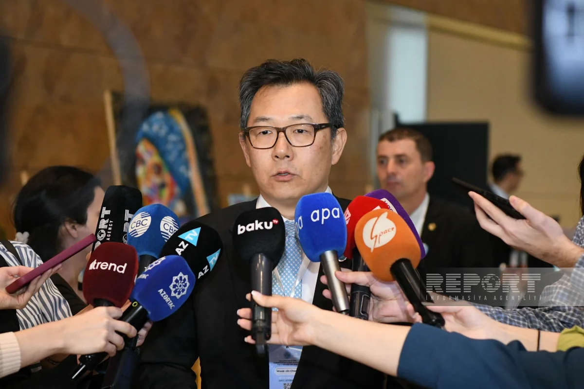 BMT-nin nümayəndəsi: Qlobal Cənub QHT Platforması region ölkələrinin beynəlxalq arenada mövqelərini gücləndirəcək