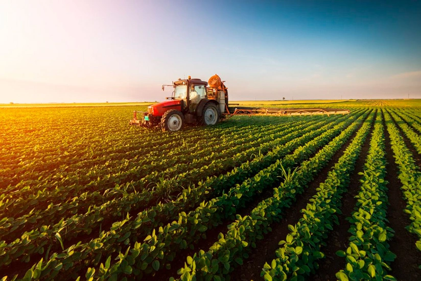 Azərbaycanda aqrar sektor 3 % böyüyüb