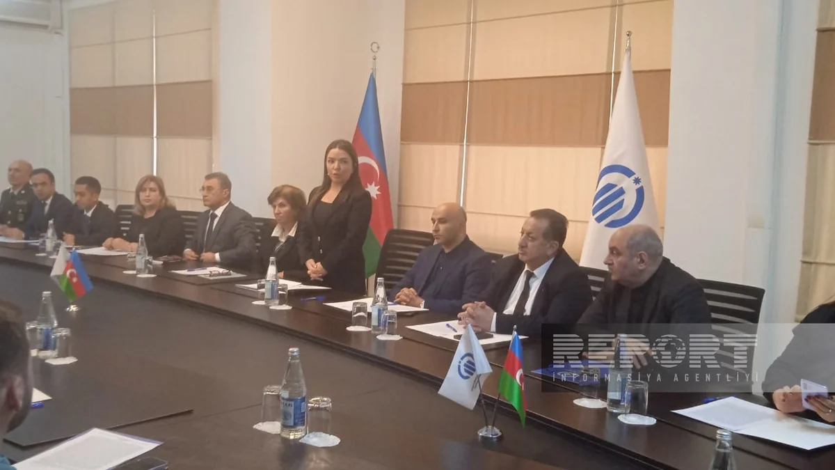 Aygün Əliyeva: Xocalı soyqırımına hələ də beynəlxalq hüququ qiymət verilməyib