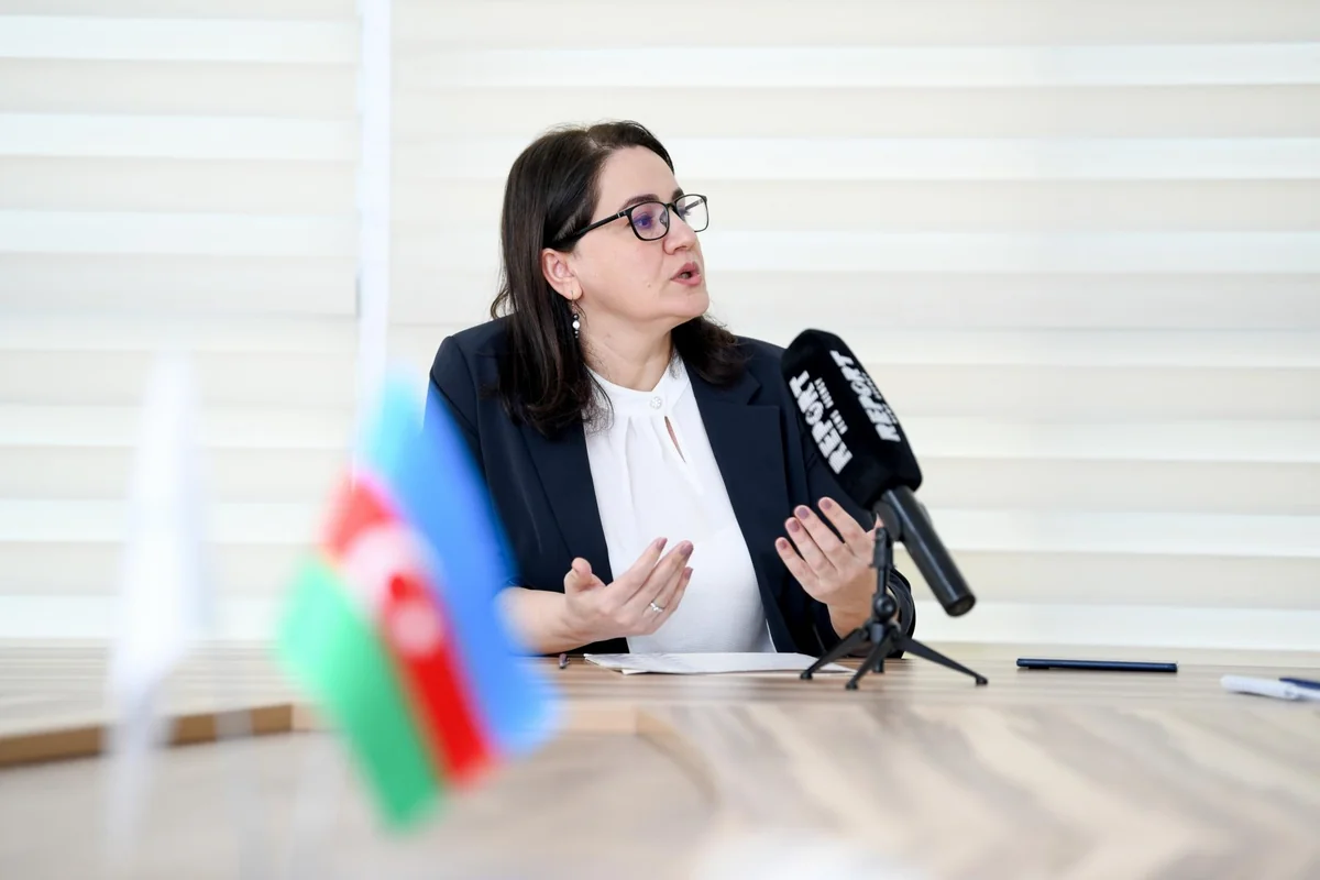 Kəmalə Məmmədzadə: Yeni Milli Standartlaşdırma Proqramı” formalaşdırılır