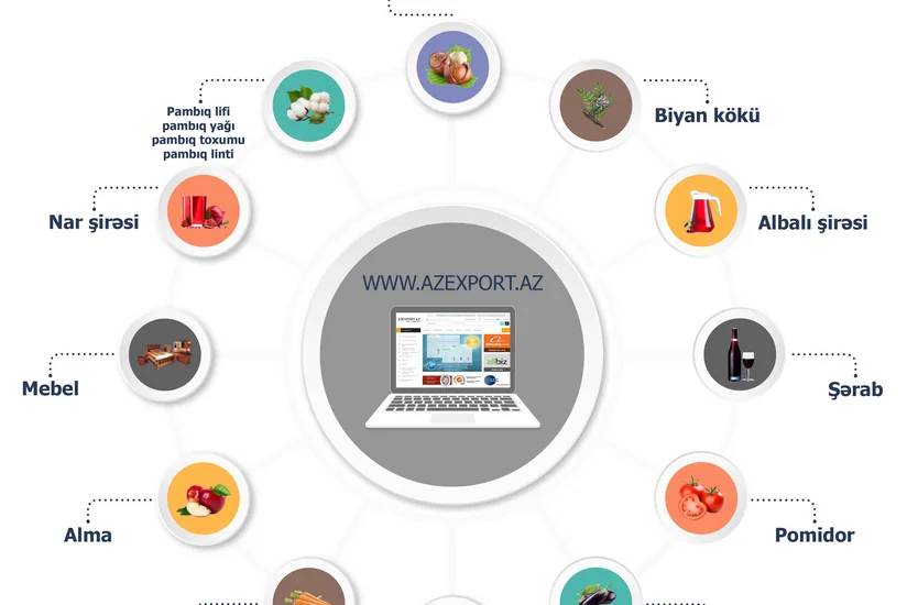 Azərbaycanın qeyri-neft ixracında birinci yeri tomat tutur