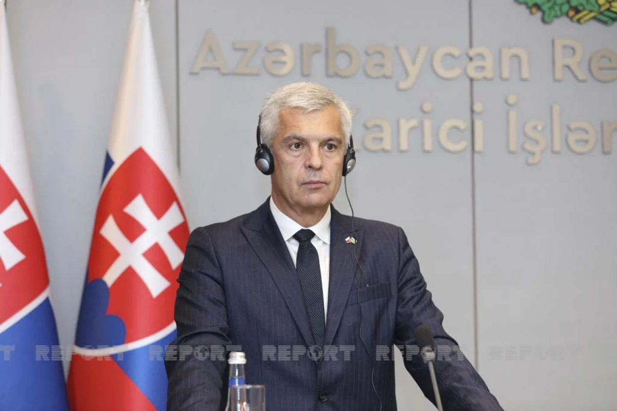 Slovak FM: Azerbaijan is important partner in region