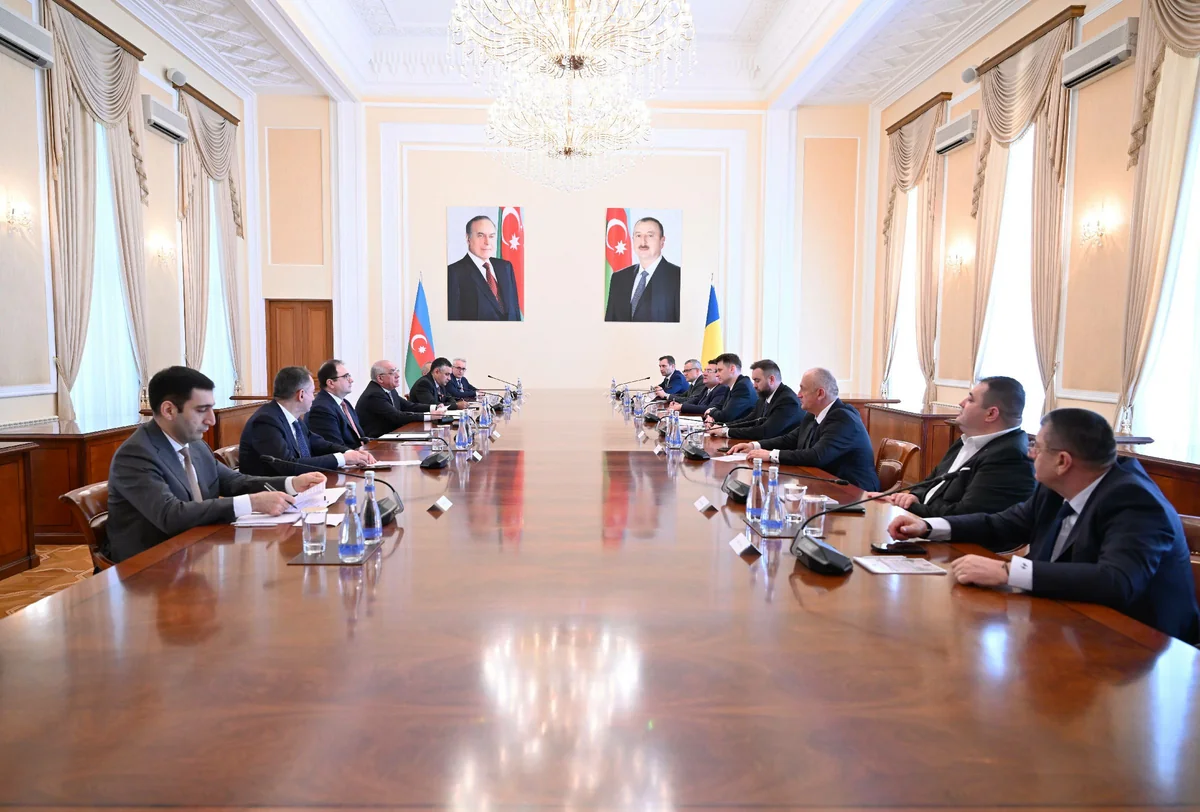 Əli Əsədov Rumıniya Parlamenti Senatının sədri ilə görüşüb