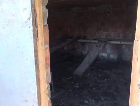 Cəlilabadda dəyəri 5 min manatdan çox olan ev quşları oğurlanıb