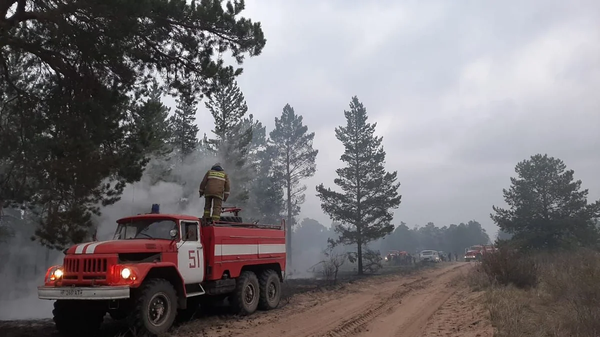 В Павлодарской области Казахстана вспыхнул лесной пожар на площади 400 га