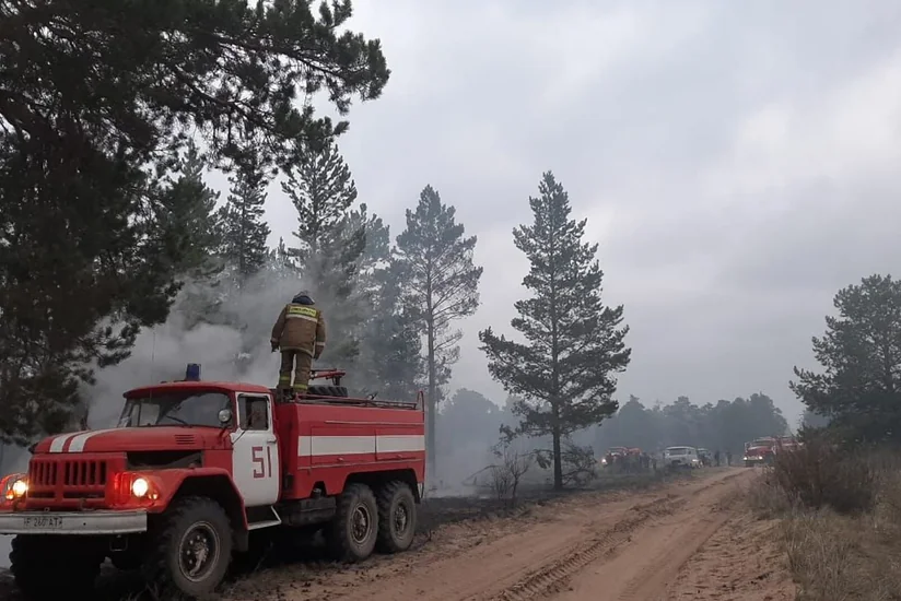 В Павлодарской области Казахстана вспыхнул лесной пожар на площади 400 га