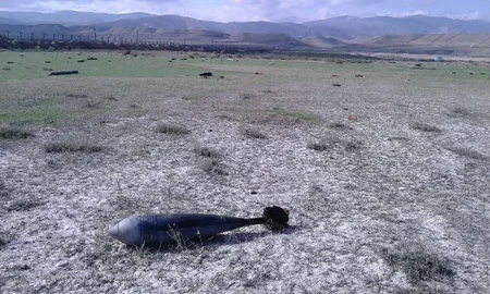 Xızıda 66 ədəd partlamamış hərbi sursat aşkarlanıb