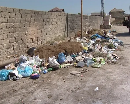 Bakıda çimərliklərin icarədarları məsuliyyətə cəlb olunublar - SİYAHI