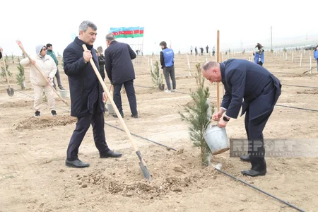 Heydər Əliyevin 100 illik yubileyi ilə əlaqədar növbəti ağacəkmə aksiyası keçirilib