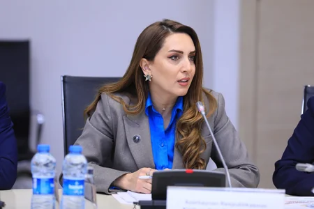 Qarabağ və Şərqi Zəngəzura qayıdışla bağlı konsepsiya sənədi təqdim olunub