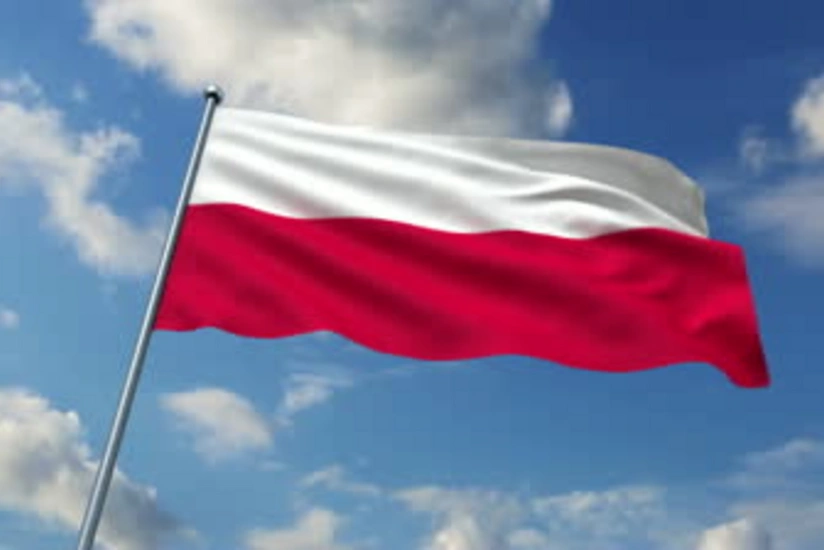 13 человек излечились в Польше от коронaвируса