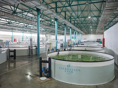 Lu-Mun Holding and SOCAR Trading unite to release 25,000 endangered endemic sturgeons into Caspian Sea
