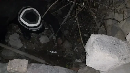 Gəncə sakinlərində odlu silah aşkarlanıb