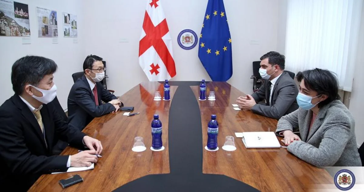 Georgia to deepen cooperation in GUAM-Japan format