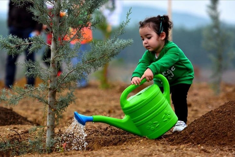 В Турции установлен мировой рекорд по числу высаженных деревьев - ФОТО