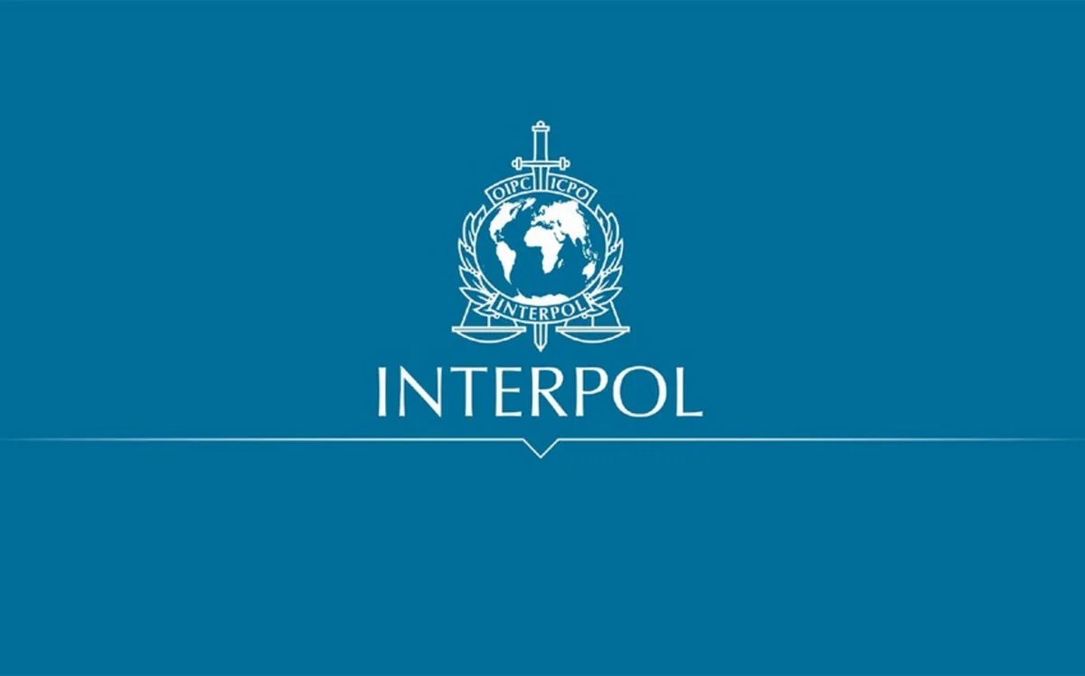 Interpol says 20 people arrested in global sexual abuse operation