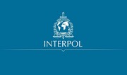 Интерпол: 20 человек в 12 странах арестованы по делу о сексуальной эксплуатации детей