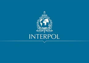 Интерпол: 20 человек в 12 странах арестованы по делу о сексуальной эксплуатации детей