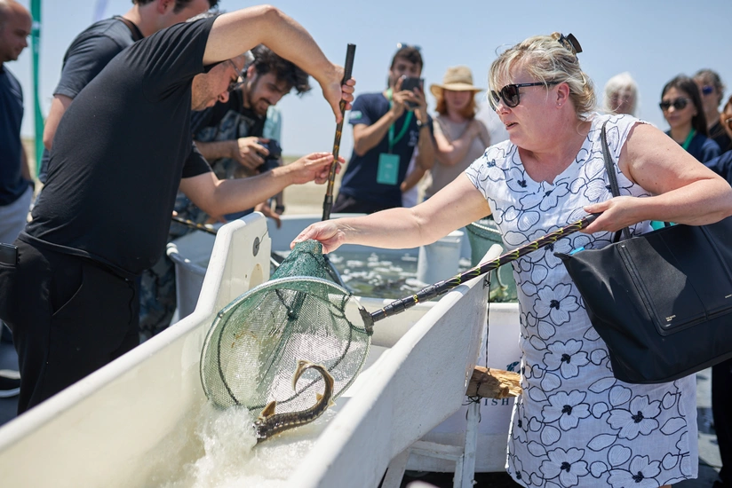 5,000 sturgeons released into Caspian Sea as part of CANSO event