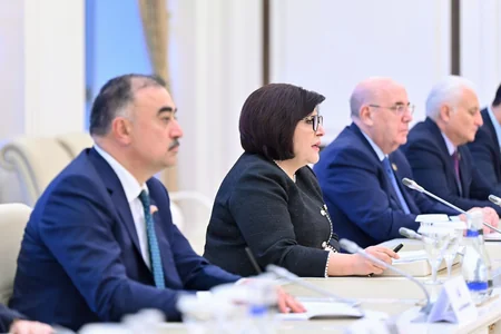 Milli Məclisin sədri Türkiyənin vitse-prezidenti ilə görüşüb - YENİLƏNİB